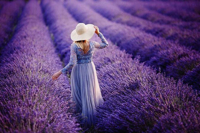 Lavender Fields Full Day Private Tour From Marseille - Lake Sainte-Croix and the Verdon views
