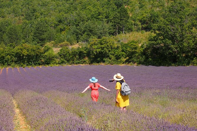 Lavender Full-day Tour in Sault From AIX-EN-PROVENCE - Key points to know before you book