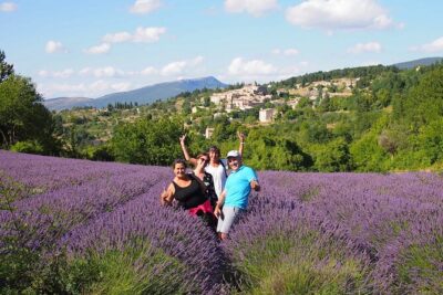 Lavender Full-day Tour in Sault From AIX-EN-PROVENCE - The drive from Aix through the Luberon