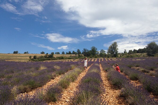 Lavender Full-day Tour in Sault From AIX-EN-PROVENCE - Who will enjoy this outing most