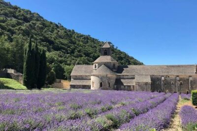 Lavender in Bloom : Unforgettable Provençal Stroll - Leaving Marseille in a private, air-conditioned vehicle