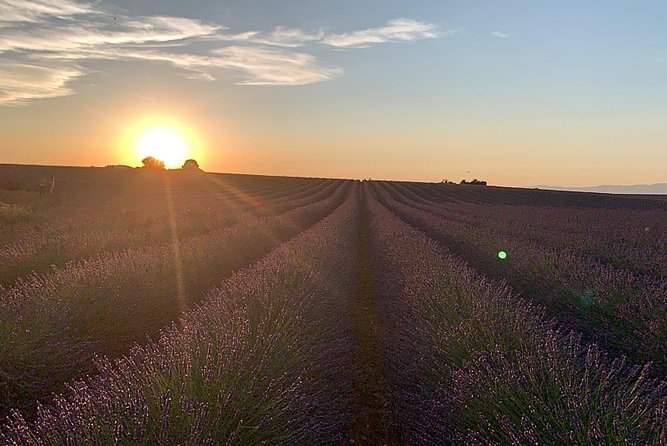 Lavender in Bloom : Unforgettable Provençal Stroll - Is $1,020.15 good value for your group?
