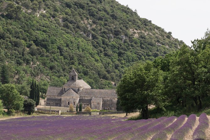 Lavender in Luberon Small Group Half-Day Trip - Price and What You Get for About $108.13