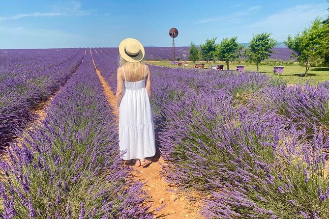 Lavender in Luberon Small Group Half-Day Trip - Gordes Viewpoint in 15 Minutes: Fast Photos, Big Payoff