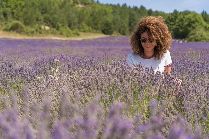 Lavender Small-Group Tour In Valensole from Marseille - The price question: what $191.88 gets you (and why it can be worth it)
