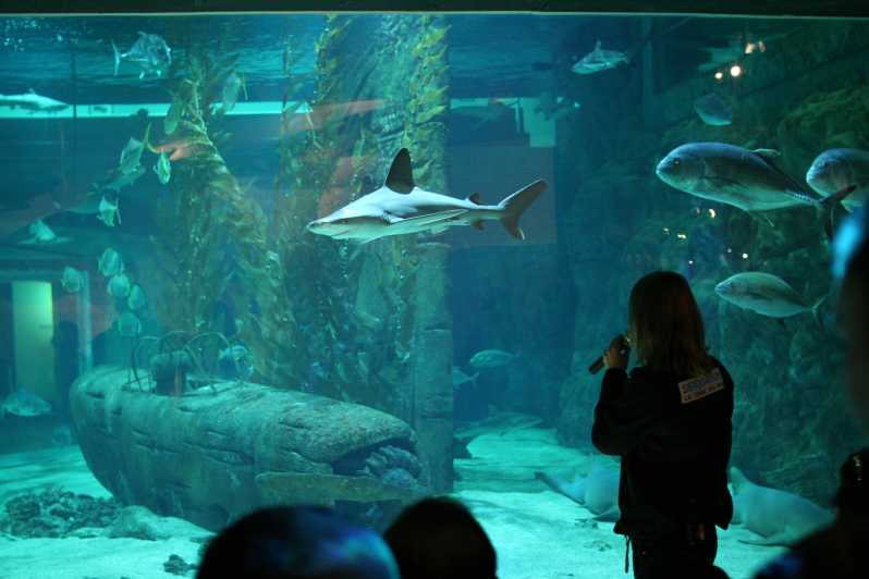 Le Grau-du-Roi: Seaquarium Skip-the-Line Entrance Ticket - Key things to know before you go