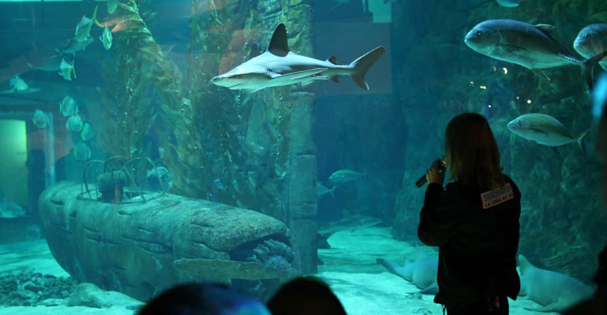 Le Grau-du-Roi: Seaquarium Skip-the-Line Entrance Ticket - The shark center with 30 species: the highlight worth planning around