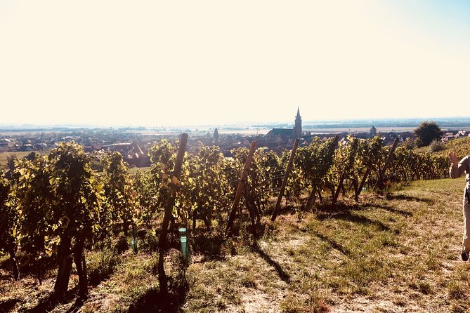 "Le petit Alsacien" Luxury Tour Local private friendly driver - Why this 3-hour Strasbourg-to-Alsace setup works