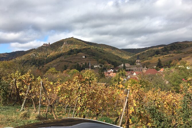 "Le petit Alsacien" Luxury Tour Local private friendly driver - Stop 2: Dambach-la-Ville for medieval charm in a short window
