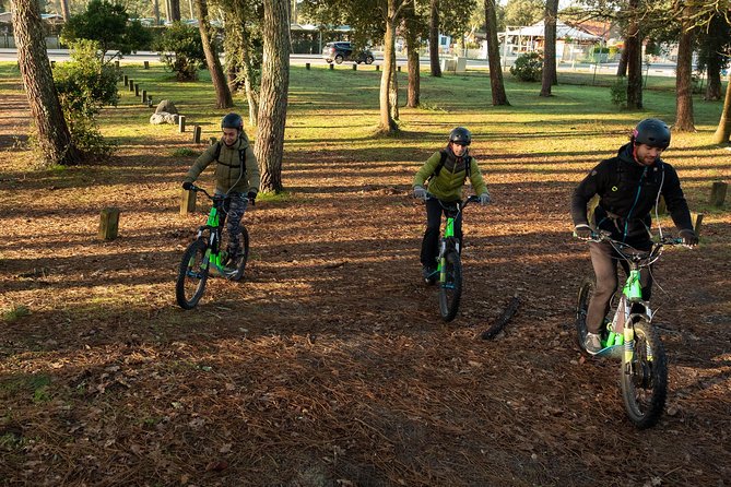 Leisure ride on an electric scooter - Flora and local history stories: the details that make the ride stick