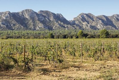 Les Baux de Provence : Wine day Tour : 7 hours - Reaching Les Baux de Provence by morning