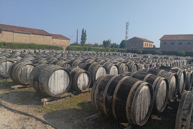 Les Baux de Provence : Wine day Tour : 7 hours - Wineries and included Provençal tastings