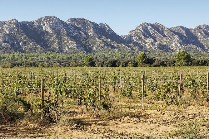 Les Baux de Provence : Wine day Tour : 7 hours - Reaching Les Baux de Provence by morning