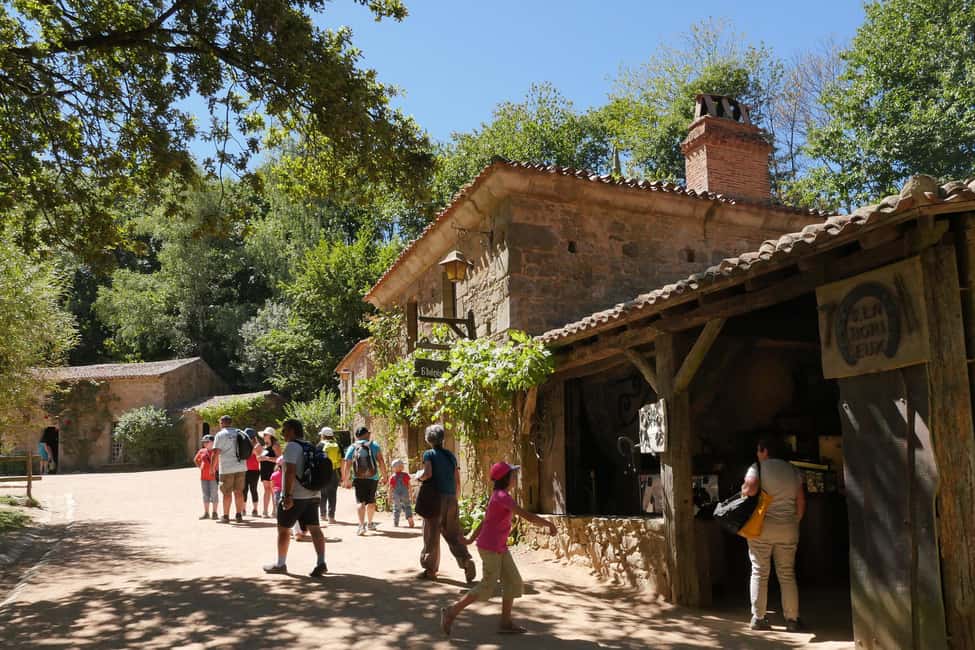 Les Epesses: Puy du Fou Theme Park 1-Day Entry Ticket - Parking and getting to the park without stress