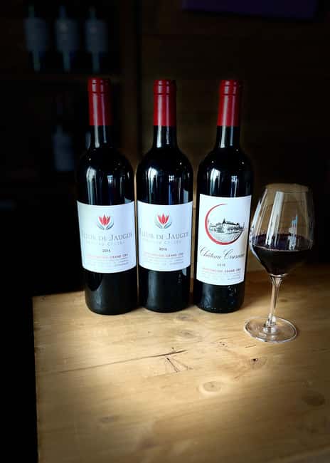 Libourne: Winery Tour with Wine and Chocolate Tasting - The tasting finale: 3 estate wines plus 3 dark chocolates (and why pairing matters)