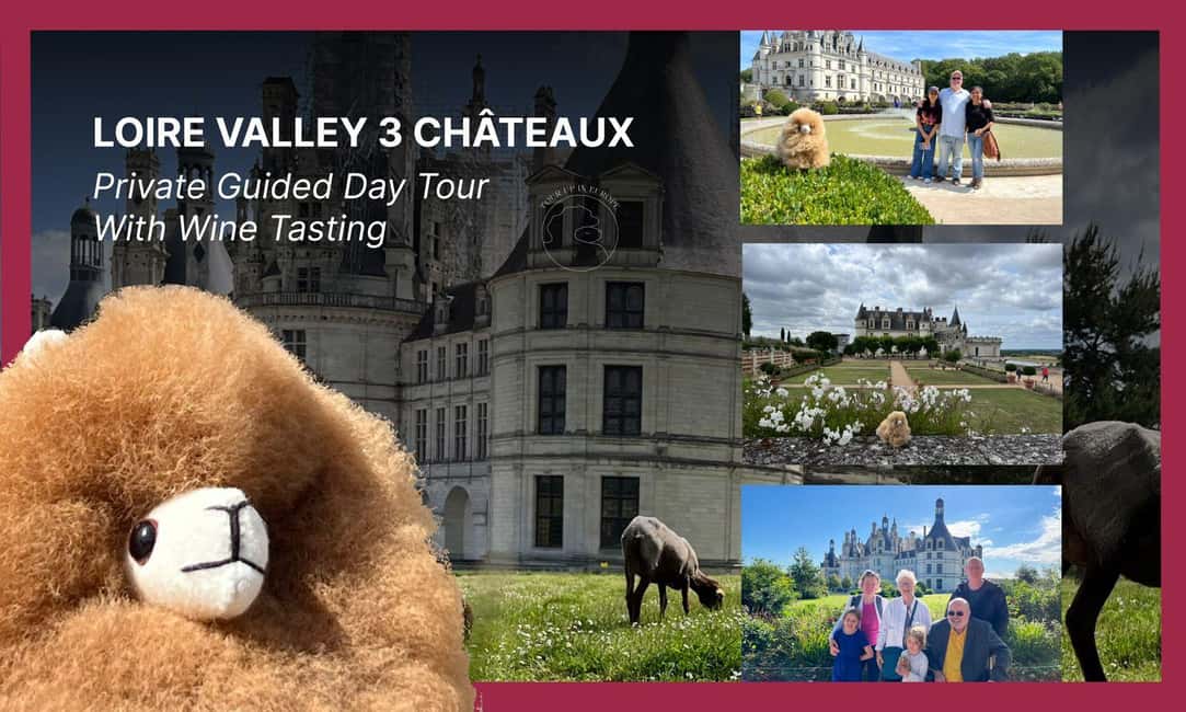Loire Castles Day Trip & Wine Tasting - Key points to know before booking