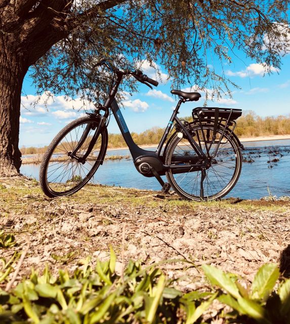 Loire castles with electric bicycle - A one-day ride through Renaissance France