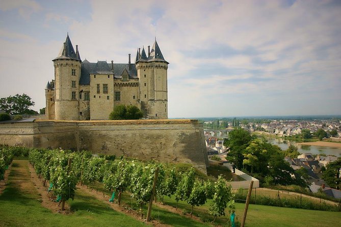 Loire Valley Castles and Wineries Private VIP Day Trip with Lunch - Why Chambord Makes the Long Drive Worthwhile