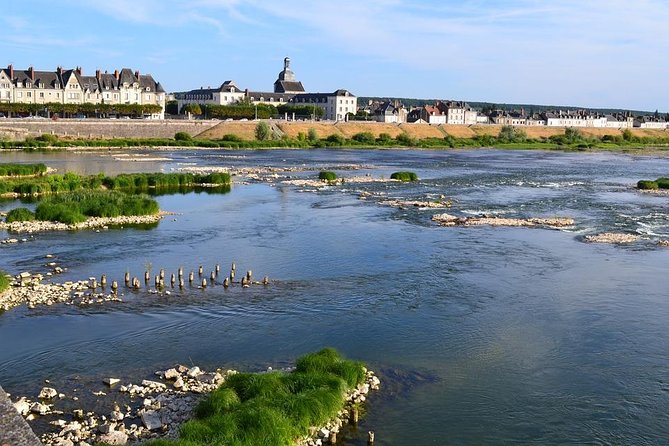 Loire Valley Castles and Wineries Private VIP Day Trip with Lunch - What the Private Vehicle Adds