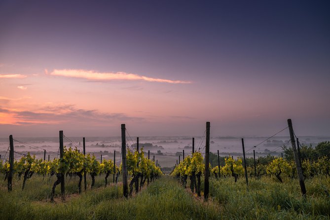 Loire Valley Castles and Wineries Private VIP Day Trip with Lunch - Should You Book This Loire Valley Day Trip?