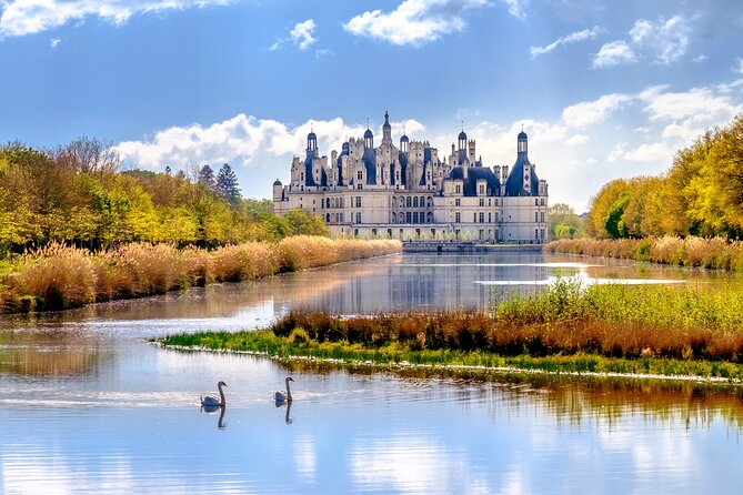 Loire Valley Castles Day Trip from Paris with Complementary Wine - Blois lunch break: where you can actually breathe (and what you might miss)