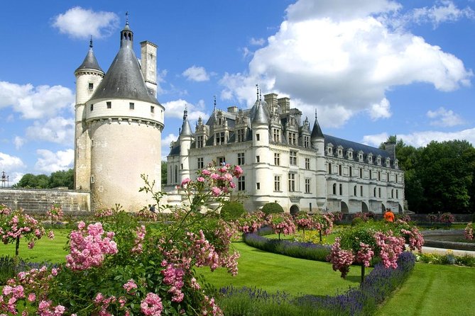 Loire Valley Castles Private Day Trip from Paris - Why this private Paris-to-Loire trip works