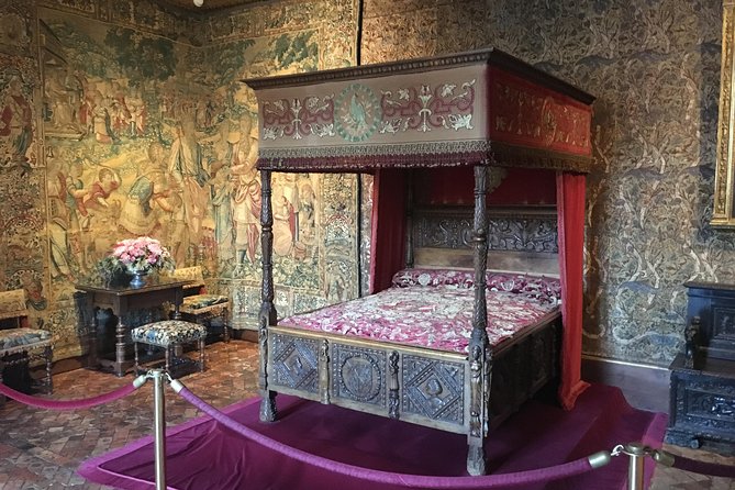 Loire Valley Castles VIP Private Tour: Chambord, Chenonceaux, Amboise - Pacing reality: what you’ll love and where you might feel rushed