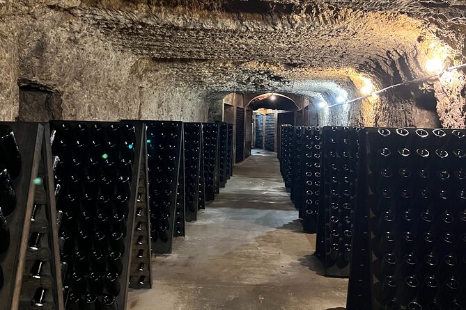 Loire Valley Chambord Castle and Wine Tasting from Paris - Why Chambord makes a strong first stop