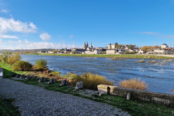 Loire Valley Chambord Castle and Wine Tasting from Paris - Inside a family-run Loire Valley winery