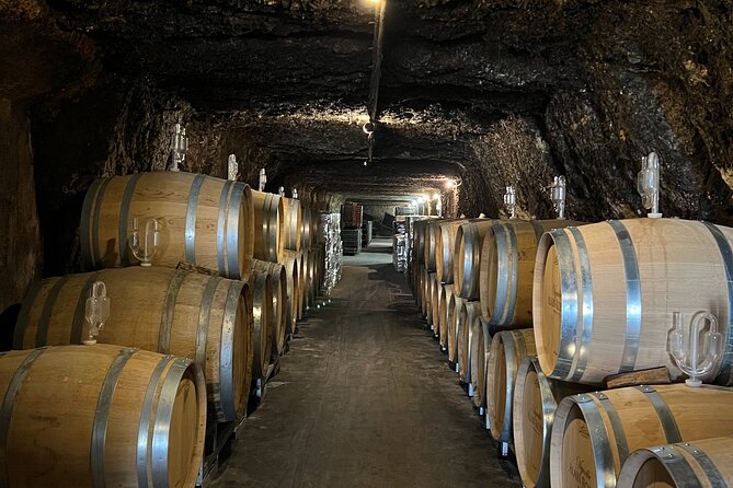 Loire Valley Chambord Castle and Wine Tasting from Paris - What to bring for an 11-hour outing