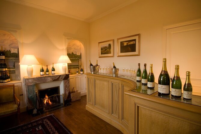 Loire Valley Chambord Castle and Wine Tasting from Paris - The Loire ride between castle and vineyard