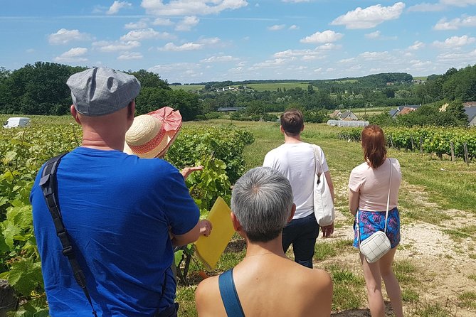 Loire Valley from Amboise : Azay le Rideau, Villandry, 2 Wineries - The Real Value: Paying for Time, Entry Fees, and a Small Group