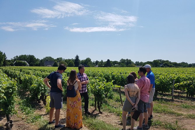 Loire Valley Half Day Wine Tour from Tours : 2 local wineries - Key points to know before you go