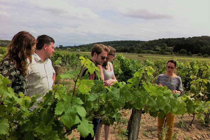 Loire Valley Half Day Wine Tour from Tours : 2 local wineries - Loire Valley wine, starting right after lunch in Tours