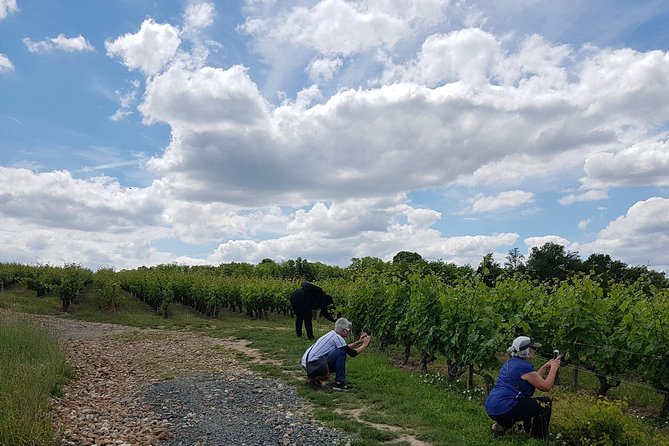 Loire Valley Half Day Wine Tour from Tours : 2 local wineries - Quick plan for your afternoon so it feels smooth