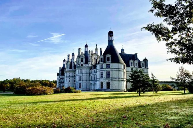Loire Valley Wines and Castle Small Group Day Trip from Paris - Vouvray family-run winery: cellars, tastings, and the cold reality of wine making