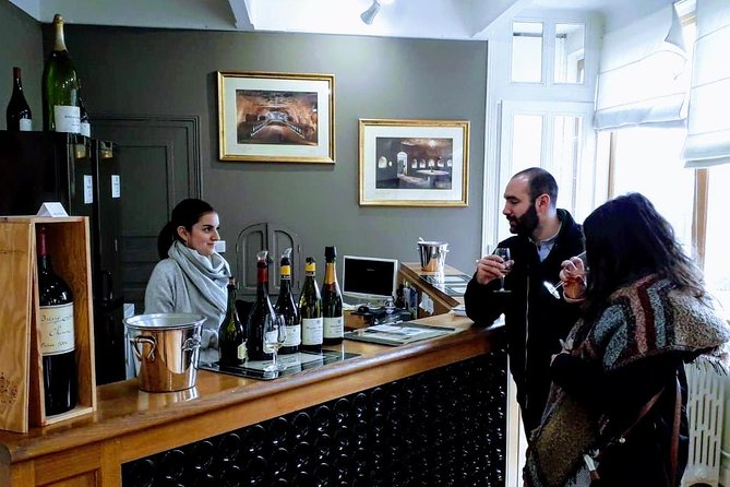 Loire Valley Wines and Castle Small Group Day Trip from Paris - Guides make or break the day: names you might get and why they matter