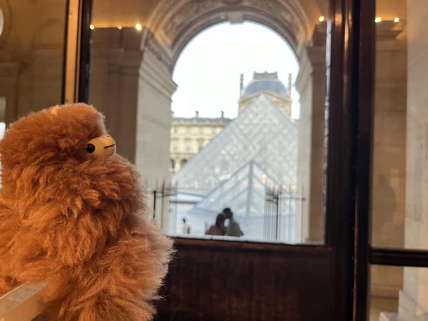 Louvre Museum Entry Ticket and Private Guided Tour - Pacing and Group Size: When Private Feels Worth It