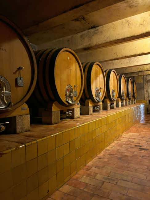 Luberon: Full-Day Wine Tour from Marseille - Stop one: the first cellar tour and scenic introduction to the region