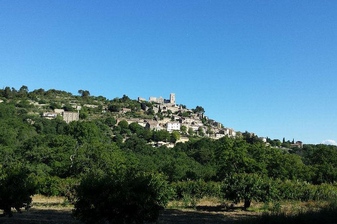 Luberon, Roussillon & Gordes Half-Day Tour from Avignon - Guides and van time: what makes the day feel smooth