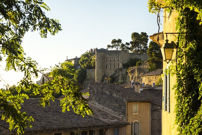 Luberon Small-Group Day Trip from Avignon - The lavender production angle (and how to enjoy it)