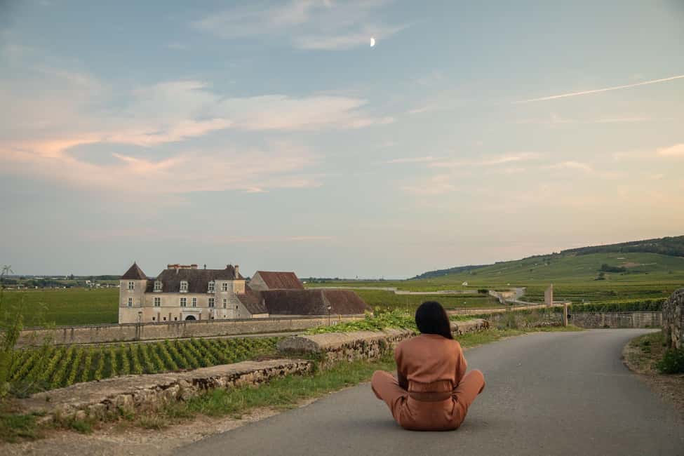 Luxury Burgundy Private Wine Tour - Why Burgundy’s tiny vineyard plots matter