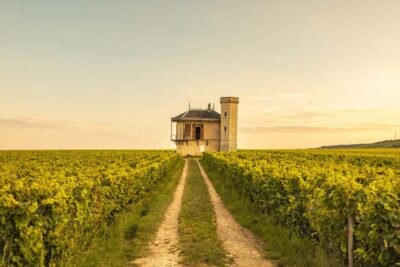 Luxury Burgundy Private Wine Tour - A full day from Beaune or Dijon