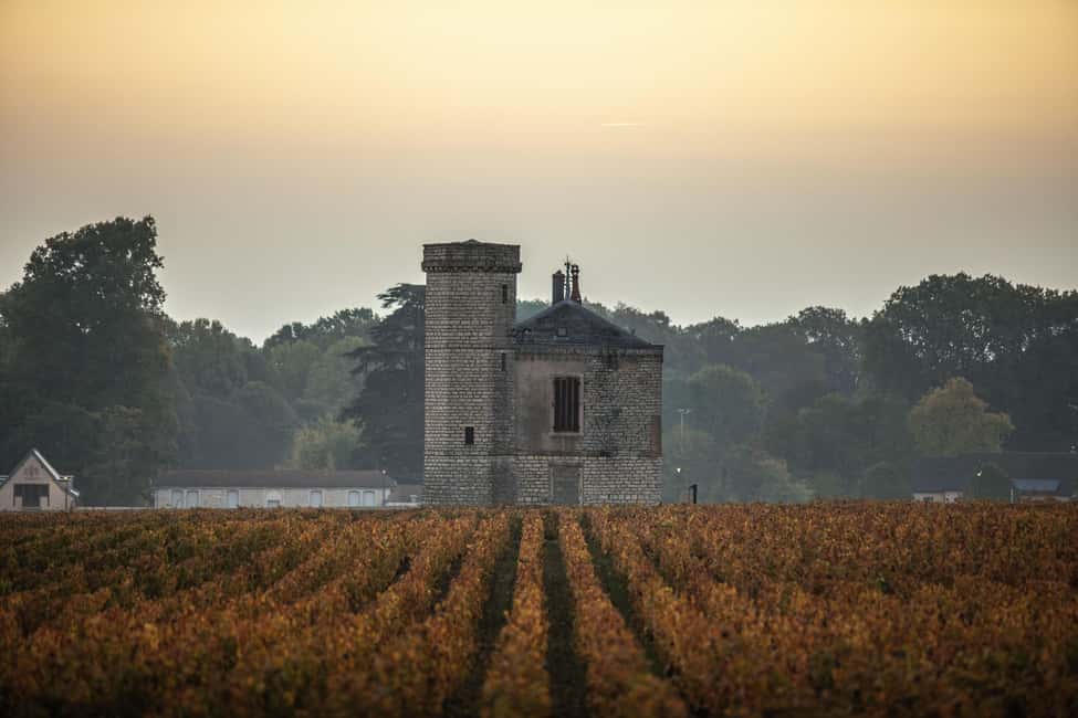 Luxury Burgundy Private Wine Tour - How good is the guide element?