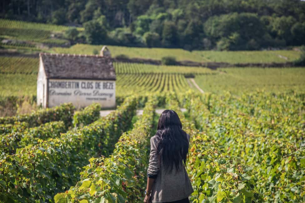 Luxury Burgundy Private Wine Tour - Who should book this Burgundy day?