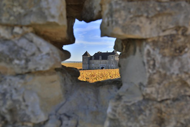 Luxury Luxury Wine Tour Experience - The wine lesson: classifications, appellations, and Climats de Bourgogne