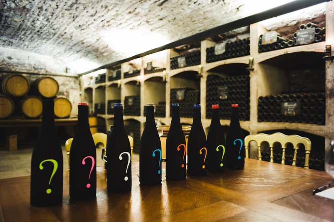 Luxury Luxury Wine Tour Experience - 3 domain visits: how each stop teaches a different Burgundy lesson