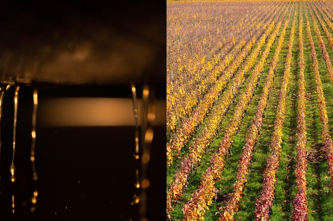 Luxury Luxury Wine Tour Experience - A guide-driven timeline: Roman Empire to today
