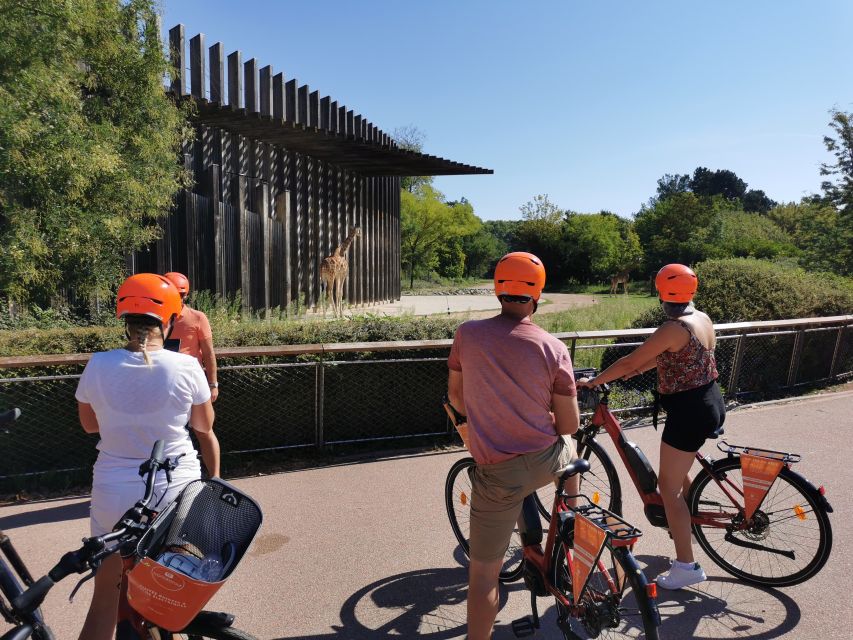 Lyon: 2-Hour Electric Bike Tour with a Local Guide - Key Highlights You Can Actually Use