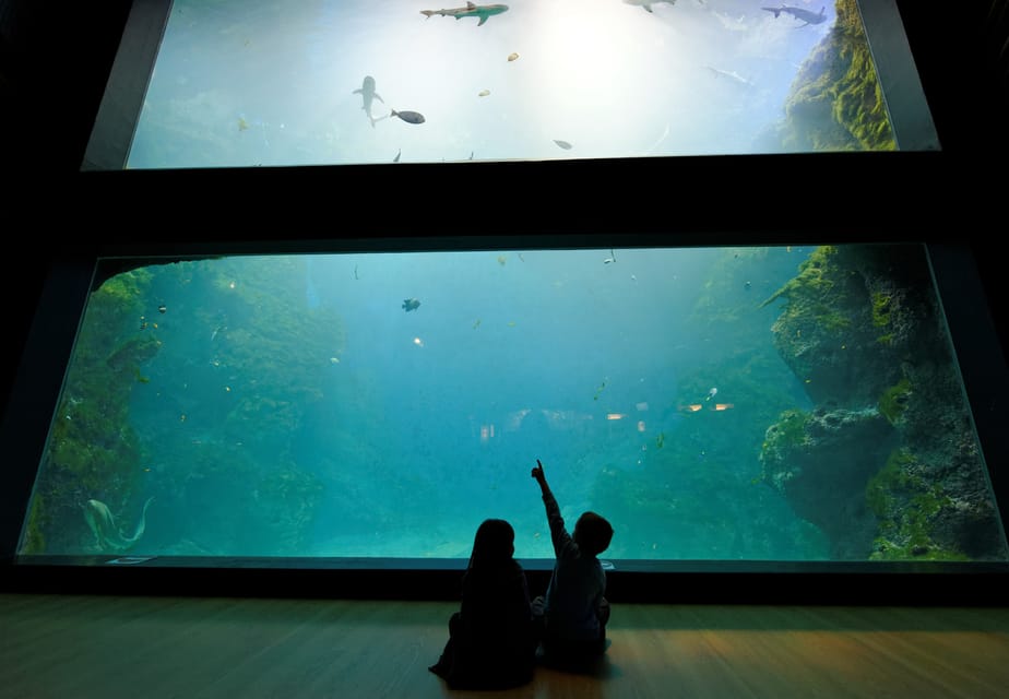 Lyon: Aquarium Entrance Ticket - Crowds, Language, and How to Plan Your Route